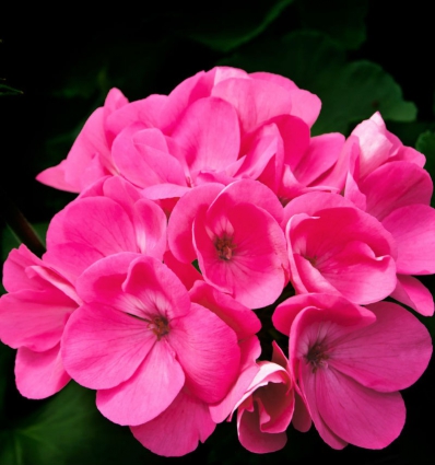 Profumo Yodeyma - Root - Eau de Parfum